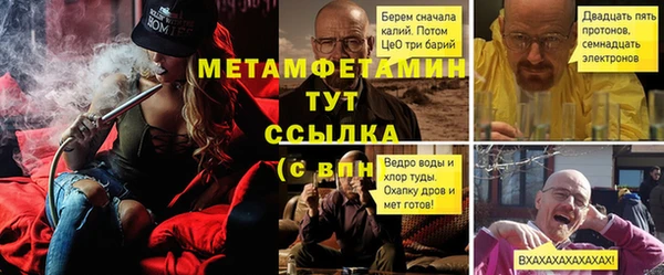 трава Аркадак