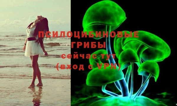 прущая мука Армянск