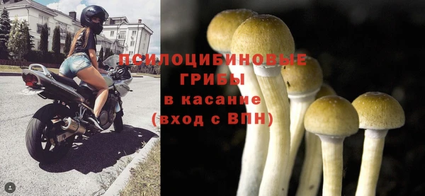 прущие крисы Арсеньев